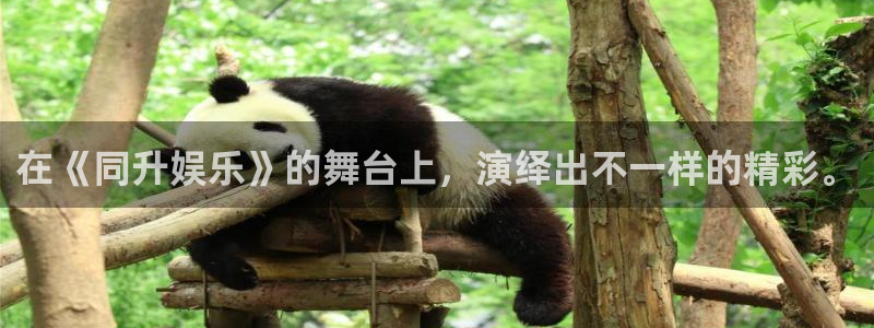 天辰娱乐：在《同升娱乐》的舞台上，演绎出不一样的精彩。