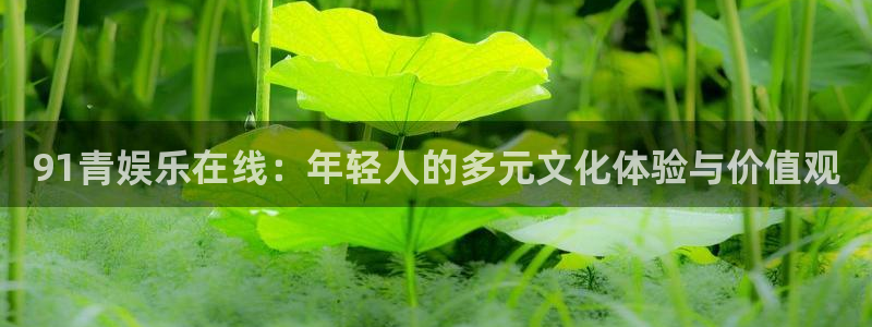 天辰娱乐注册：91青娱乐在线：年轻人的多元文化体验与价值观
