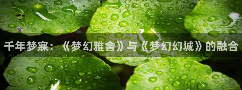 天辰娱乐注册：千年梦寐：《梦幻雅舍》与《梦幻幻城》的融合