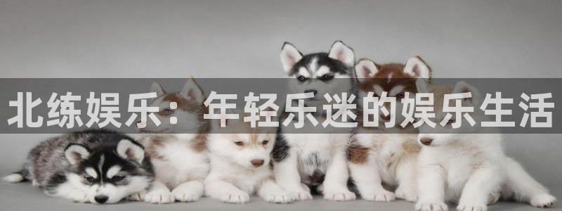 天辰娱乐注册：北练娱乐：年轻乐迷的娱乐生活