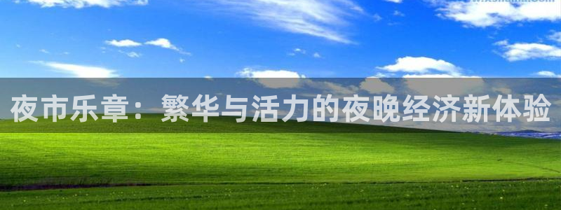 天辰娱乐：夜市乐章：繁华与活力的夜晚经济新体验