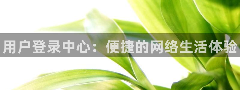 天辰娱乐注册：用户登录中心：便捷的网络生活体验
