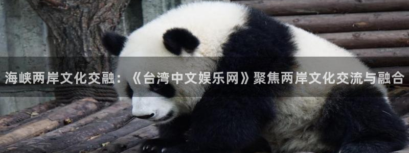 天辰娱乐登录：海峡两岸文化交融：《台湾中文娱乐网》聚焦两岸文化交流与融合